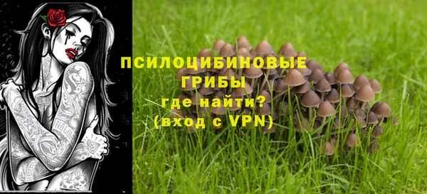ГАЛЛЮЦИНОГЕННЫЕ ГРИБЫ Абинск