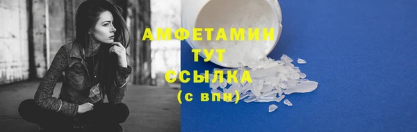 соль ск Алзамай