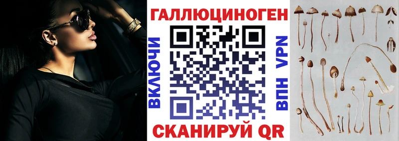 Галлюциногенные грибы Cubensis  Тосно 
